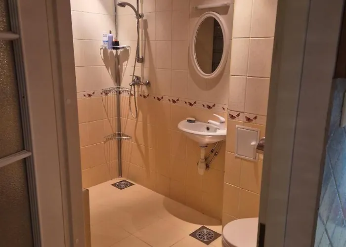 Moisa Tn 9 * نارفا